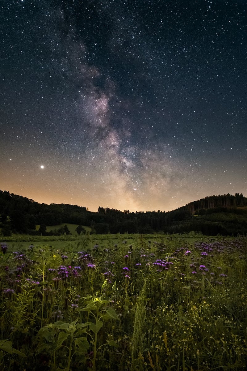 Galactic Invitations